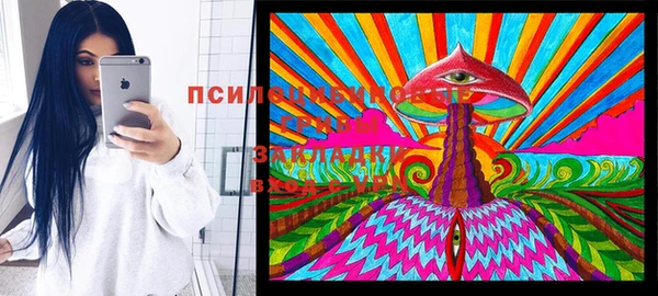 прущая мука Кинешма