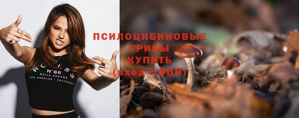 синтетический гашиш Козловка