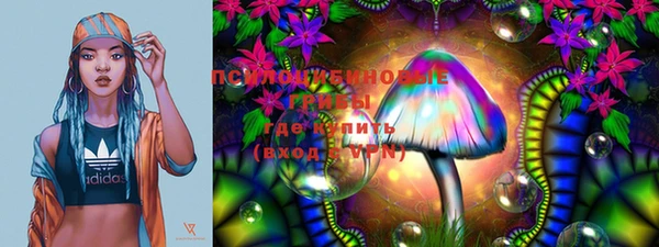 ECSTASY Кодинск